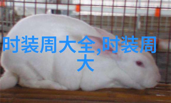 2025中国国际时装周(春季)盛大开幕